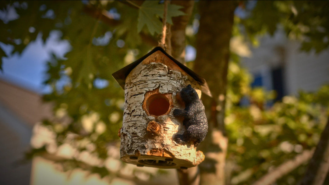 Birdhouses