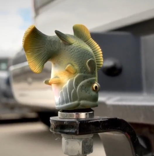 Automotive - Outdoor