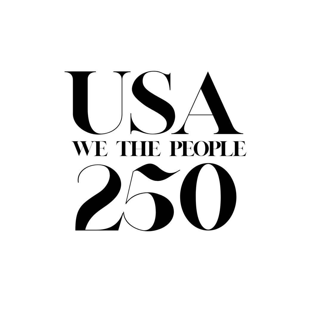 T-Shirt - Patriotic - We The People