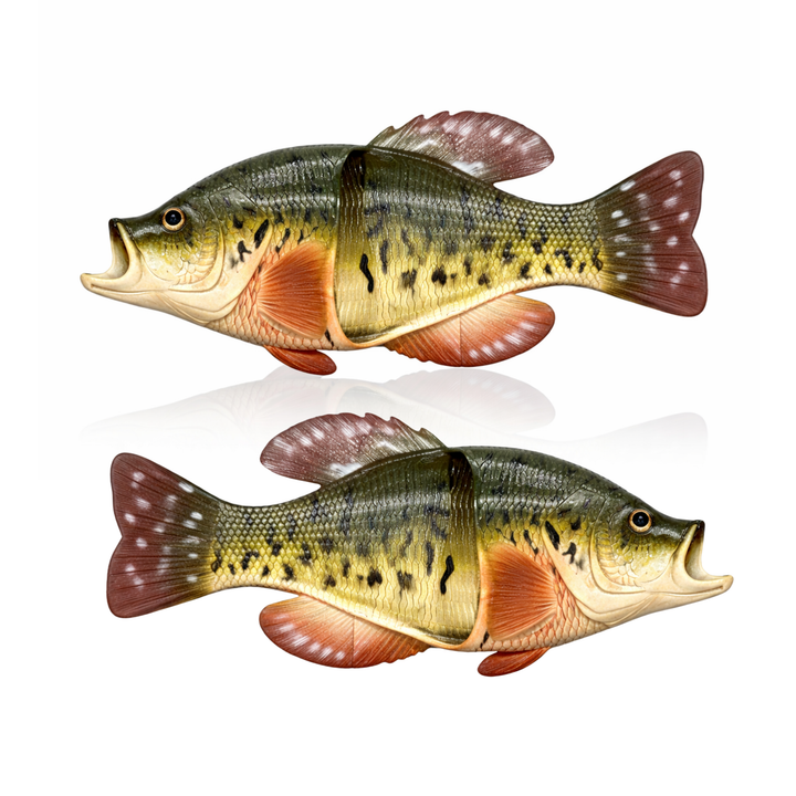 Fish Sandal Adult Small-Crappie